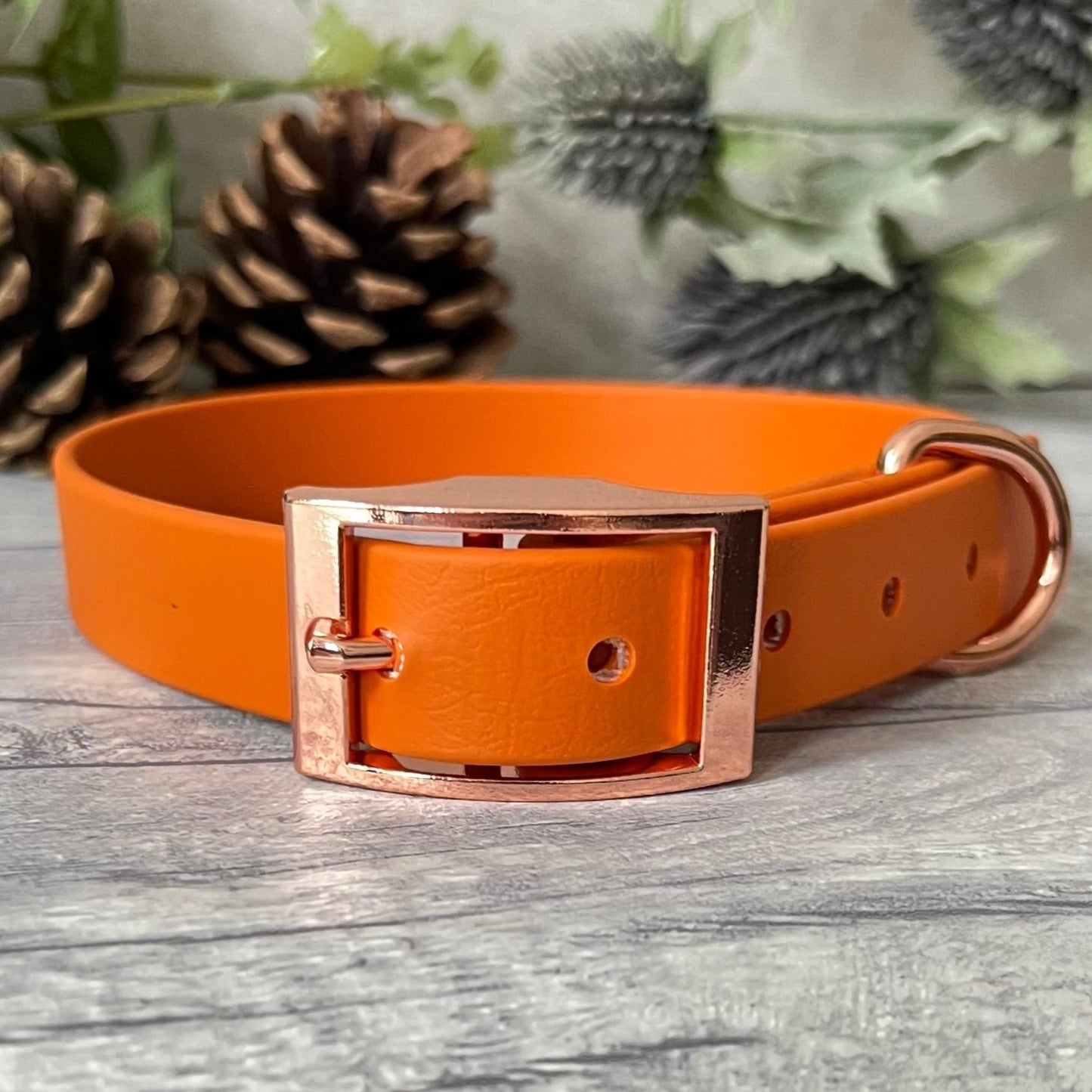 Orange Biothane dog collar with Rose Gold hardware. The collar is fastened with a buckle and has a d-ring. There are 5 punched holes spaced 2cm