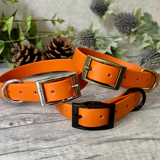 Three Orange Biothane dog collars with Silver, Antique Brass & Black hardware. The collars are fastened with a buckle and have a d-ring. There are 5 punched holes spaced 2cm