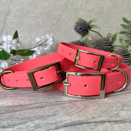 Three Coral Biothane dog collars with Silver, Rose Gold and Antique Brass hardware. The collar are fastened with a buckle and have a d-ring. There are 5 punched holes spaced 2cm apart.