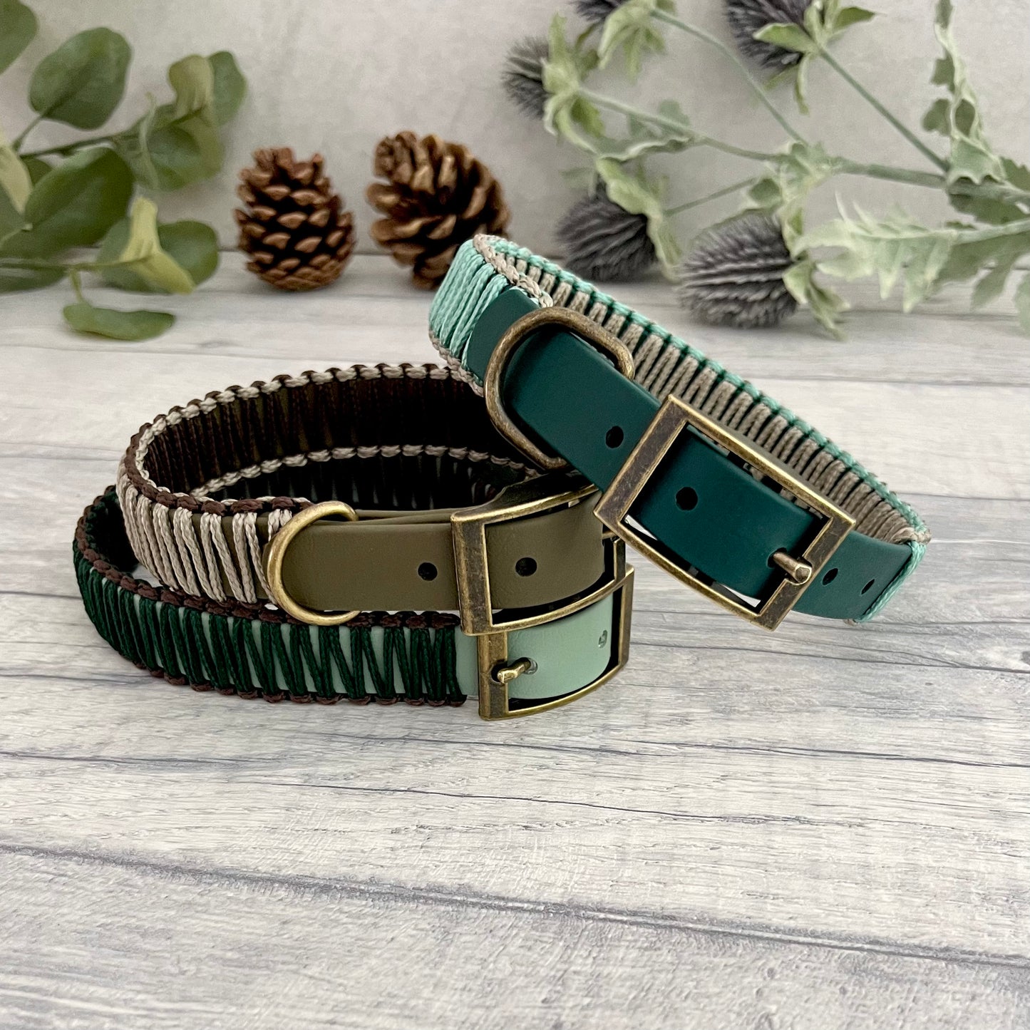 3 green Biothane collars wrapped in PPM cord of 2 different colours. The collars are stacked on top of each other, fastened with a buckle and D-ring. The hardware for each is Antique Bass