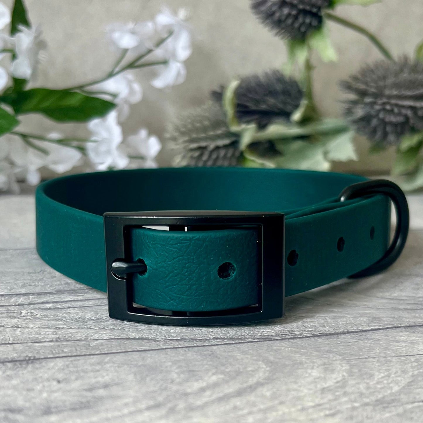 Dark Green Biothane dog collar with Black hardware. The collar is fastened with a buckle and has a d-ring. There are 5 punched holes spaced 2cm