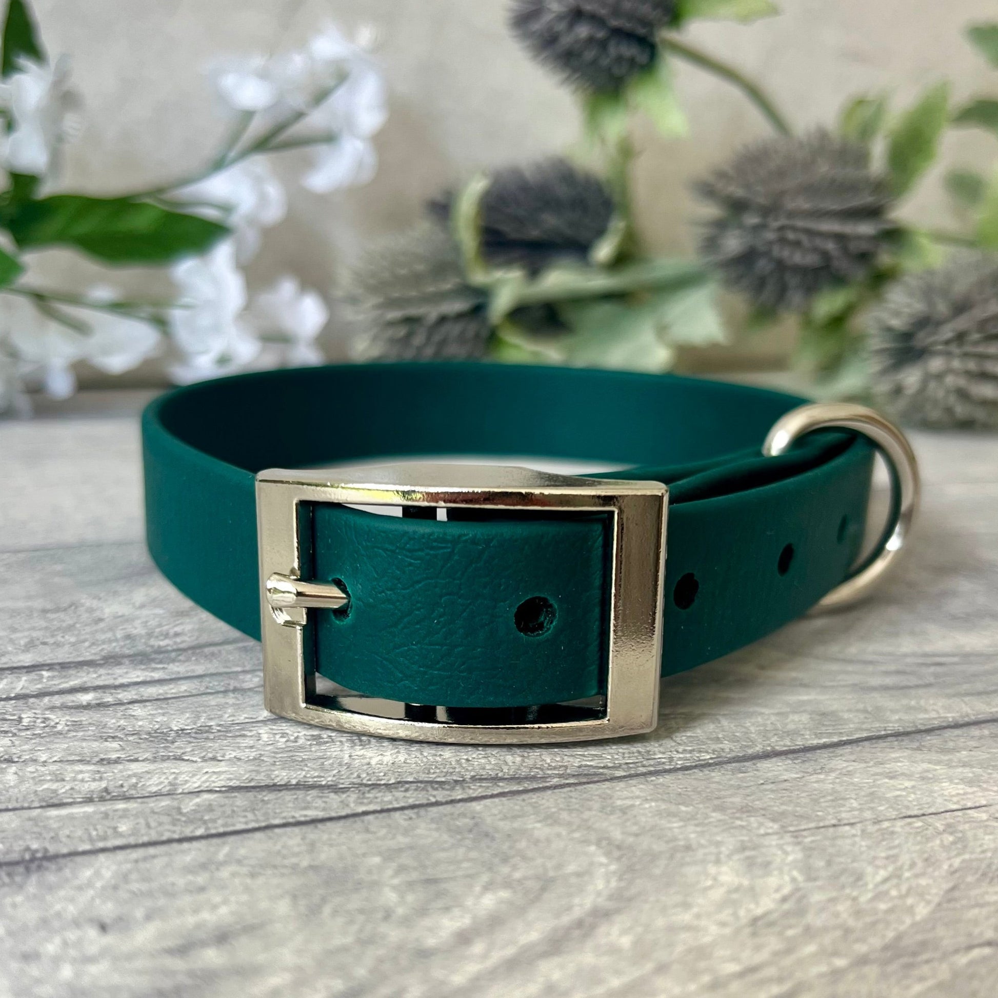 Dark Green Biothane dog collar with Silver hardware. The collar is fastened with a buckle and has a d-ring. There are 5 punched holes spaced 2cm