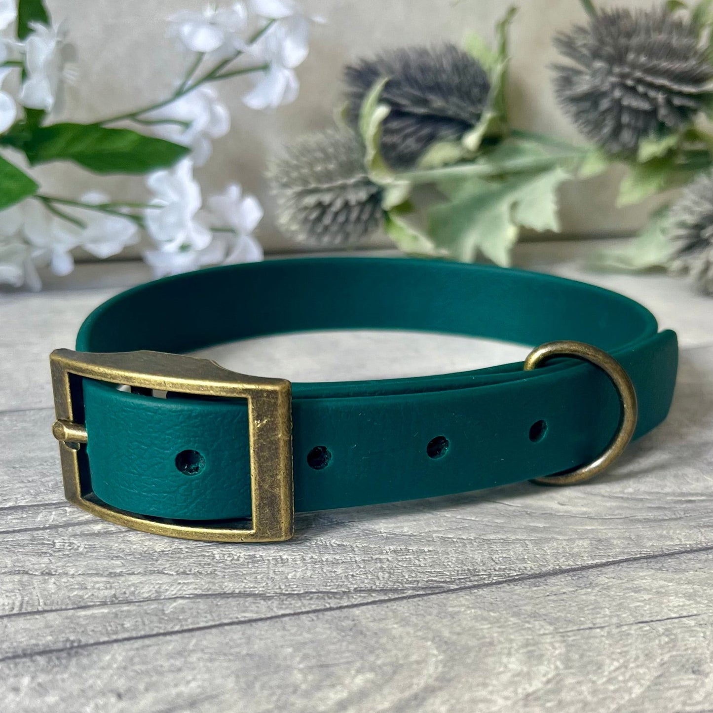 Dark Green Biothane dog collar with Antique Brass hardware. The collar is fastened with a buckle and has a d-ring. There are 5 punched holes spaced 2cm