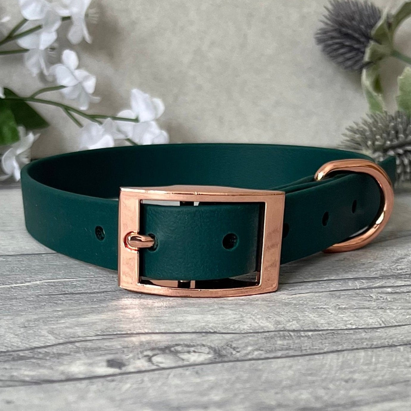 Dark Green Biothane dog collar with Rose Gold hardware. The collar is fastened with a buckle and has a d-ring. There are 5 punched holes spaced 2cm apart.