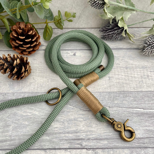 Foggy Green Paracord rope lead with Gold Brown whipping securing each end together. At each end of the rope there is a metal end cap, a clip to connect to a collar at one end and a O-ring fixed to the handle. All hardware is Antique Brass