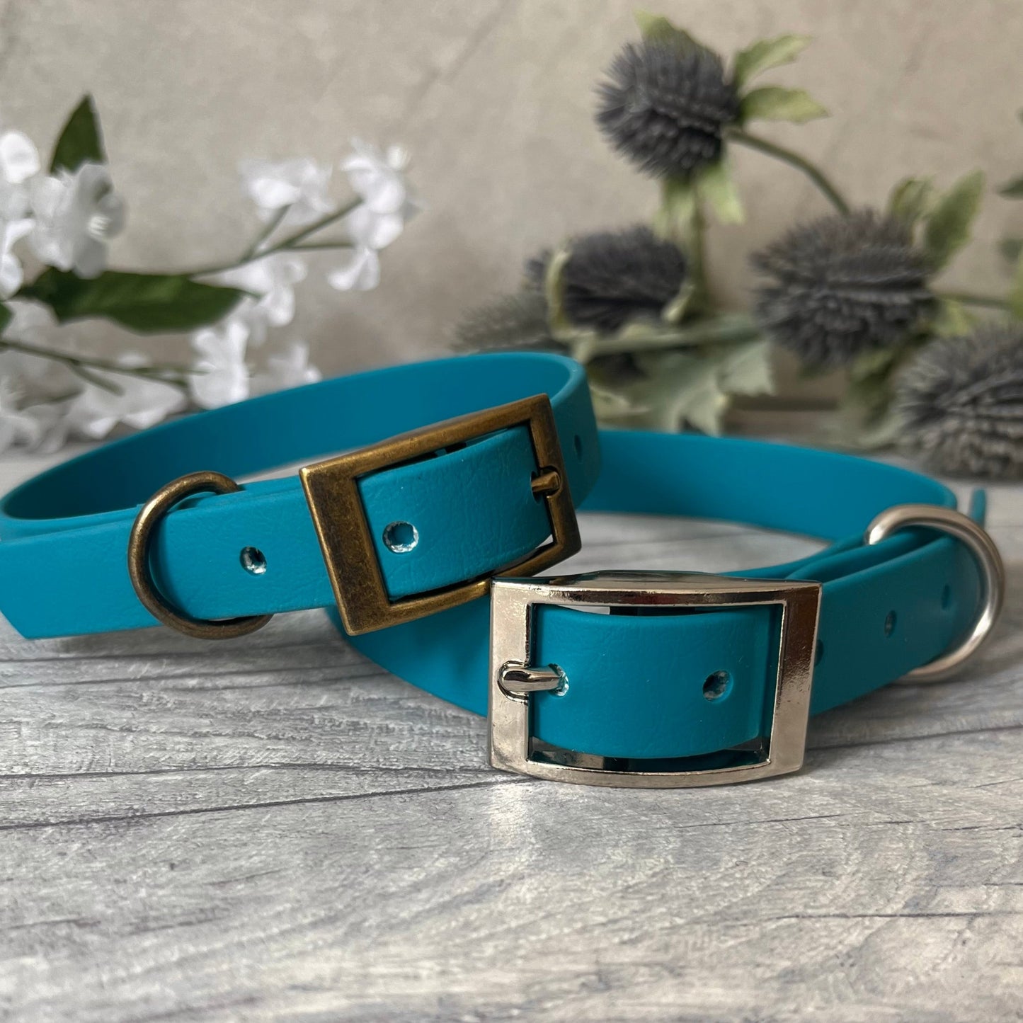 Two Biothane custom collars in Lagoon Blue with Antique Brass and Silver buckle and a D-ring. The collars have 5 holes which are spaced 2cm apart. Soft leather appearance