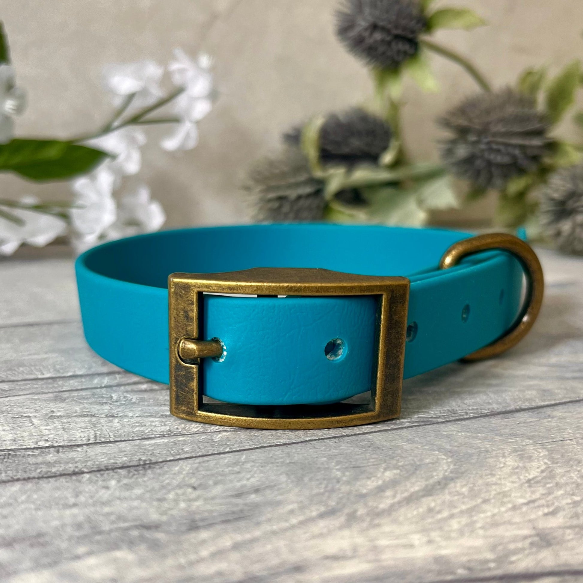 Biothane custom collar in Lagoon Blue with Antique Brass buckle and aD-ring. The collar has 5 holes which are spaced 2cm apart. Soft leather appearance