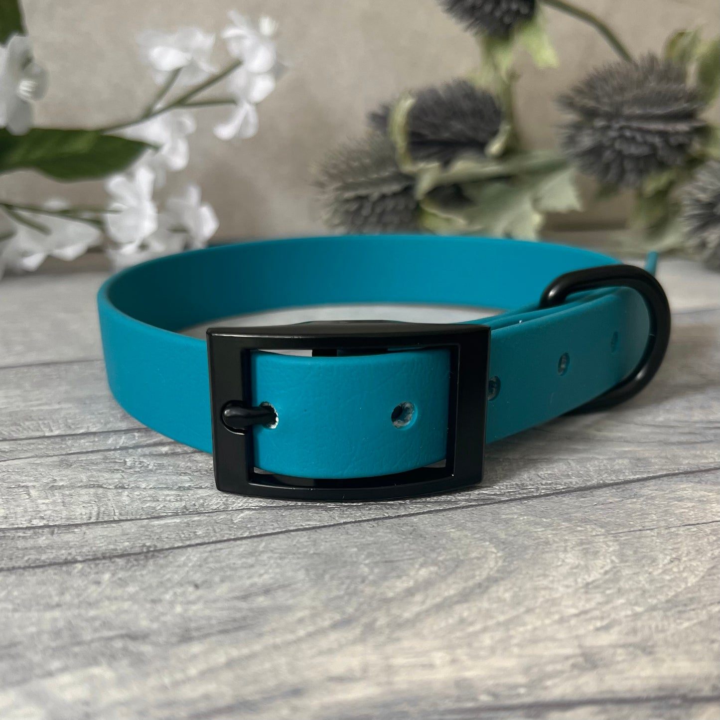 Biothane custom collar in Lagoon Blue with Black buckle and aD-ring. The collar has 5 holes which are spaced 2cm apart. Soft leather appearance