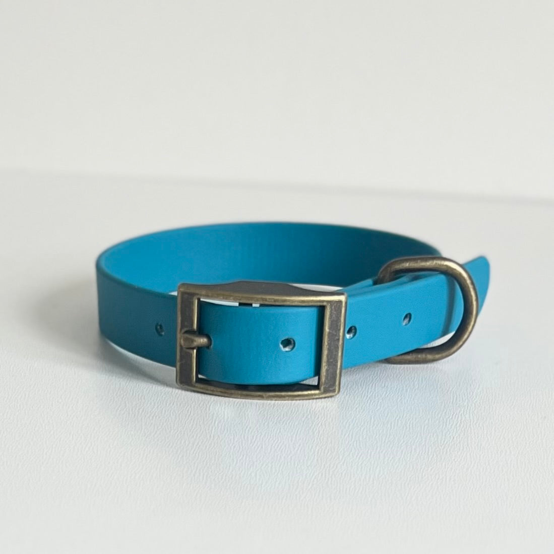 Lagoon Blue Biothane collar with antique brass hardware