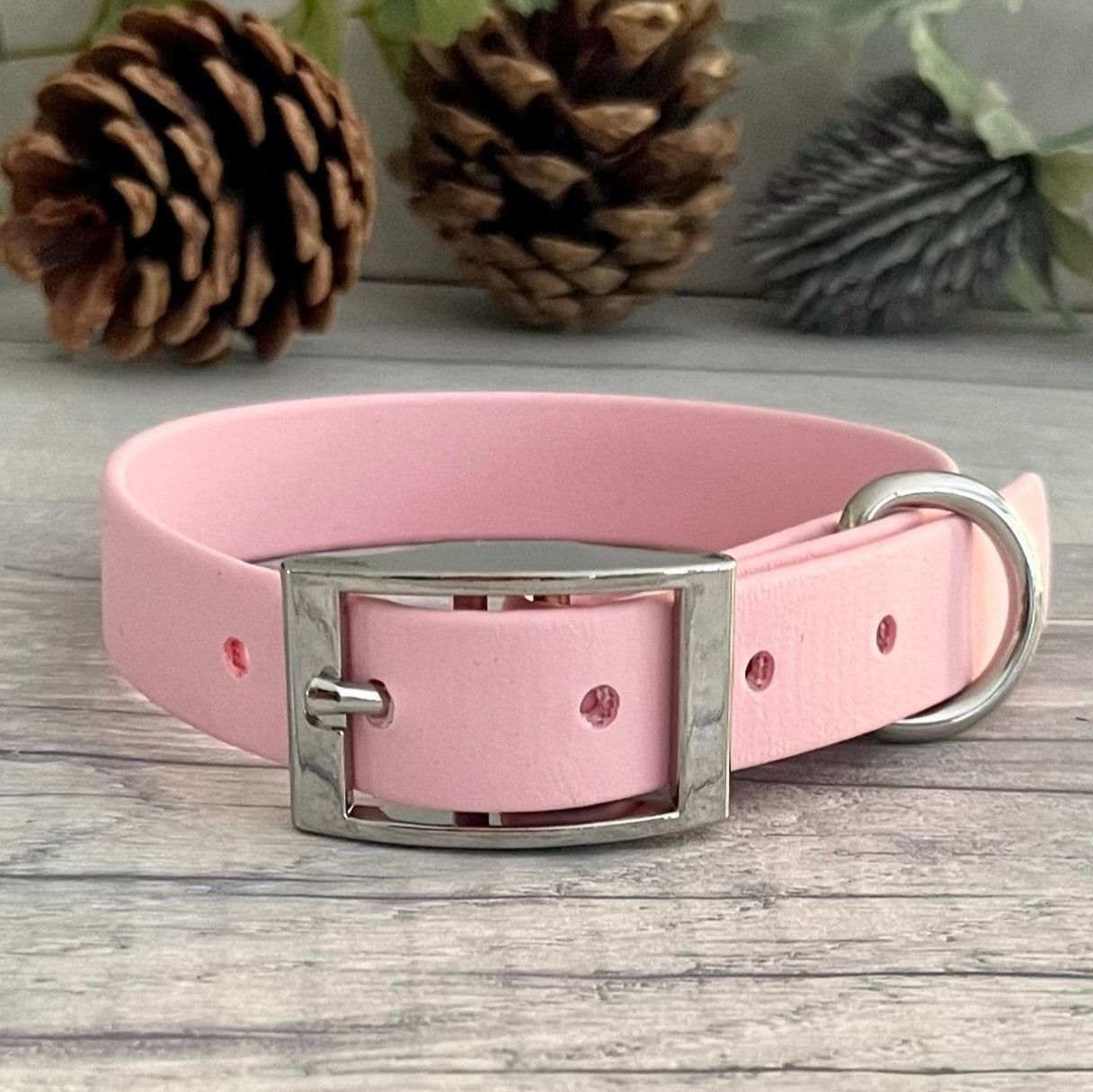 Pink collar with Silver buckle and D-ring. The collar is fastened and has 5 punched holes spaced 2cm apart