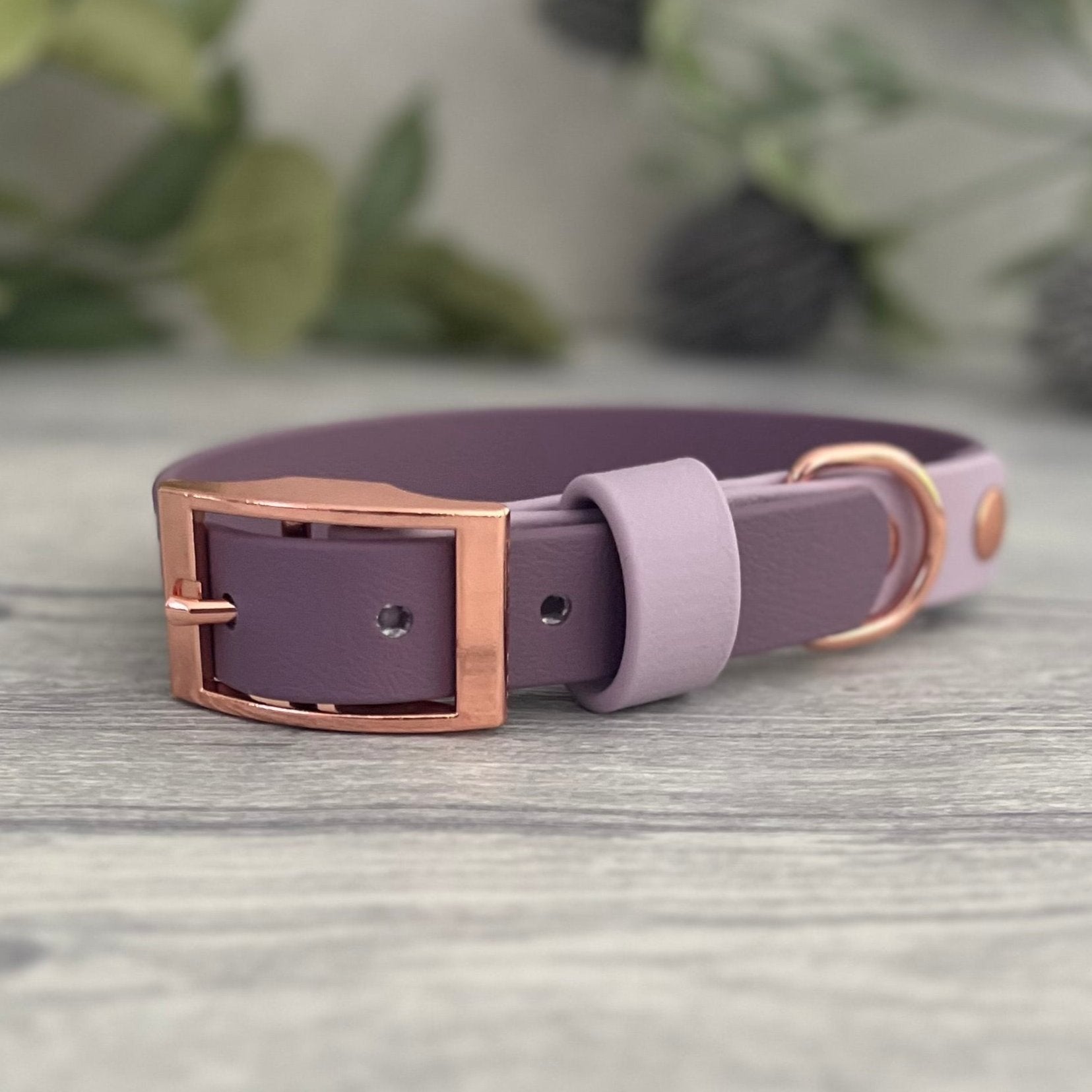 Two tone dog collar in Mauve and Lavender. The collar strap is two colours fixed together with a rivet. The collar has a Biothane strap keeper and a metal D-ring with 5 x punched holes. All hardware is Rose Gold