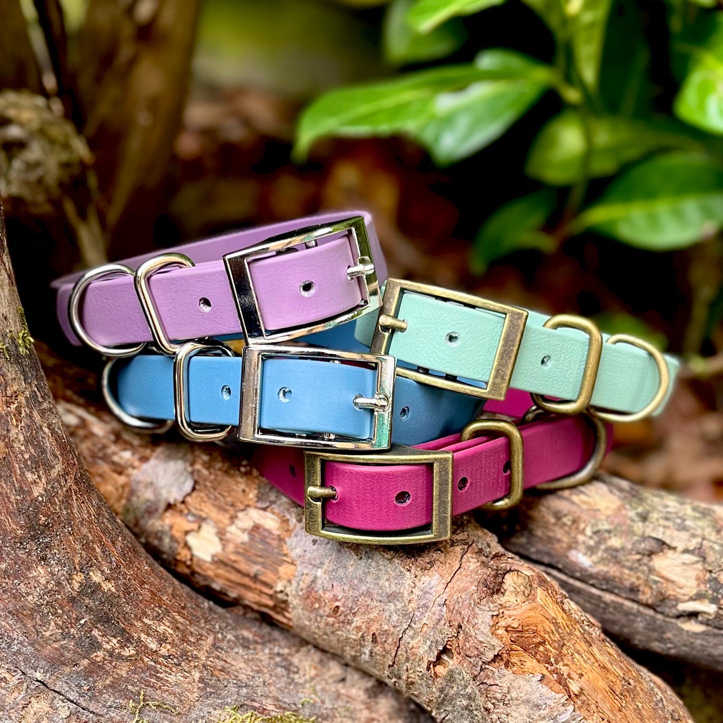 Four colorful biothane dog collars with brass buckles on a wooden branch.