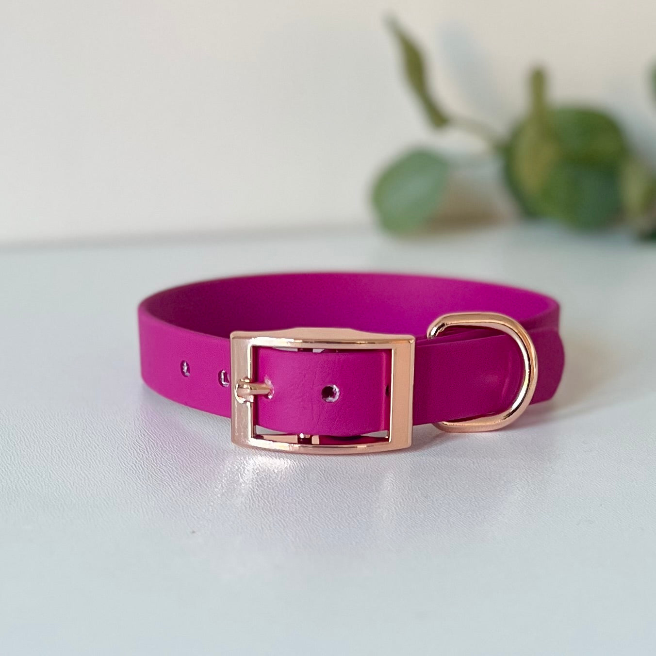 Magenta Pink BioThane® Dog Collar