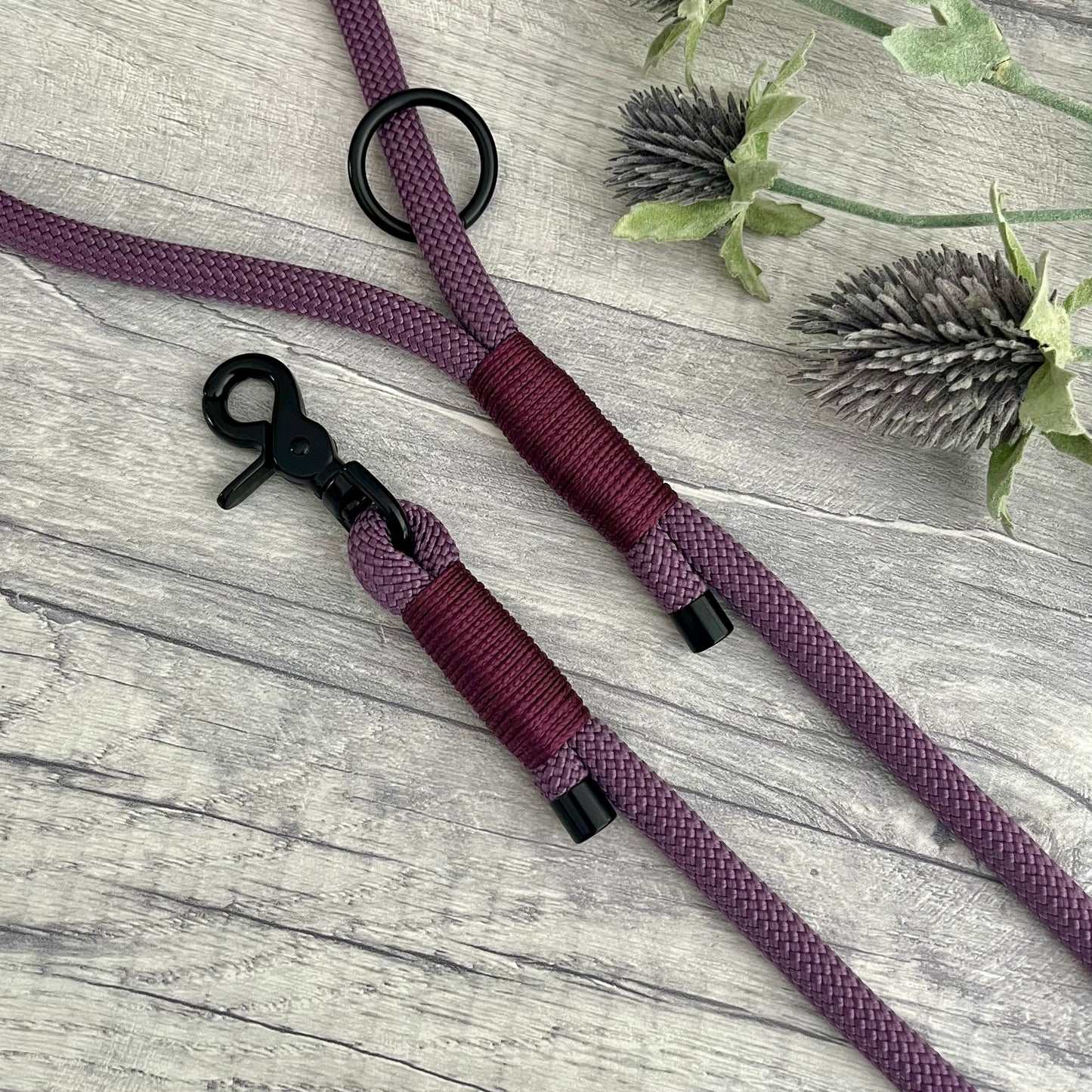 Mauve Paracord rope lead with Aubergine whipping securing each end together. At each end of the rope there is a metal end cap, a clip to connect to a collar at one end and a O-ring fixed to the handle. All hardware is Black