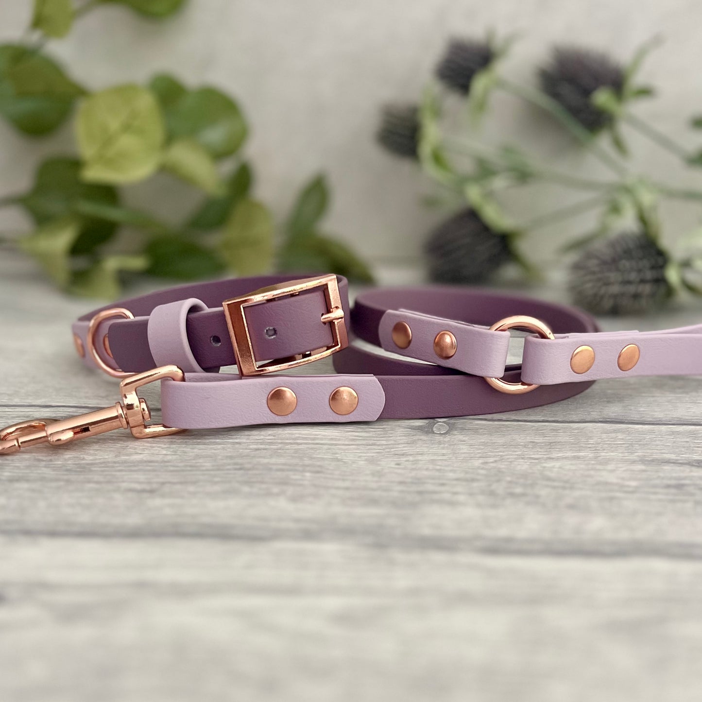 A matching two tone dog collar and lead in MAuve and Lavender. The main straps of both are in Dark Green, with the accent colour in Sage Green. The hardware for both is Rose Gold