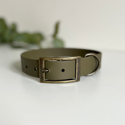 Olive green dog collar with antique brass hardware on a white background with leaves in background