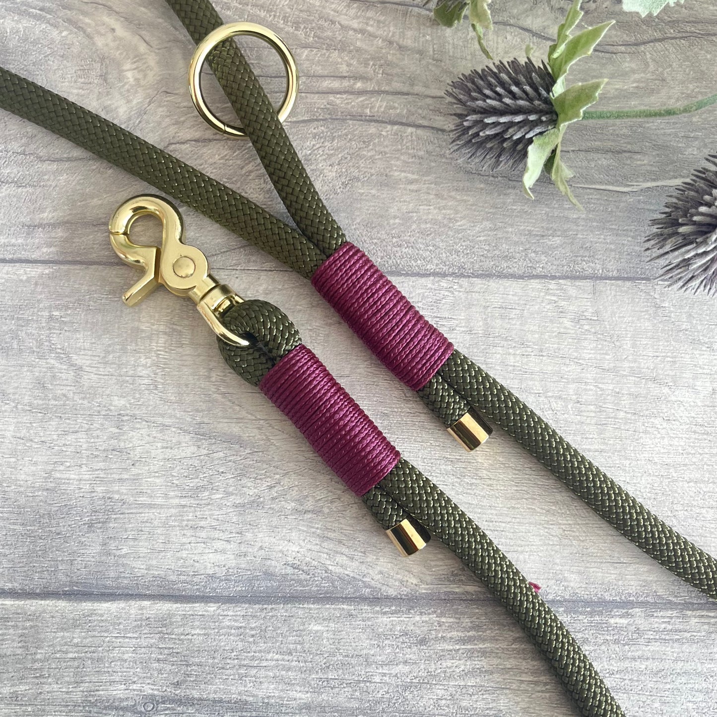 Olive Green Paracord rope lead with Aubergine whipping securing each end together. At each end of the rope there is a metal end cap, a clip to connect to a collar at one end and a O-ring fixed to the handle. All hardware is Gold