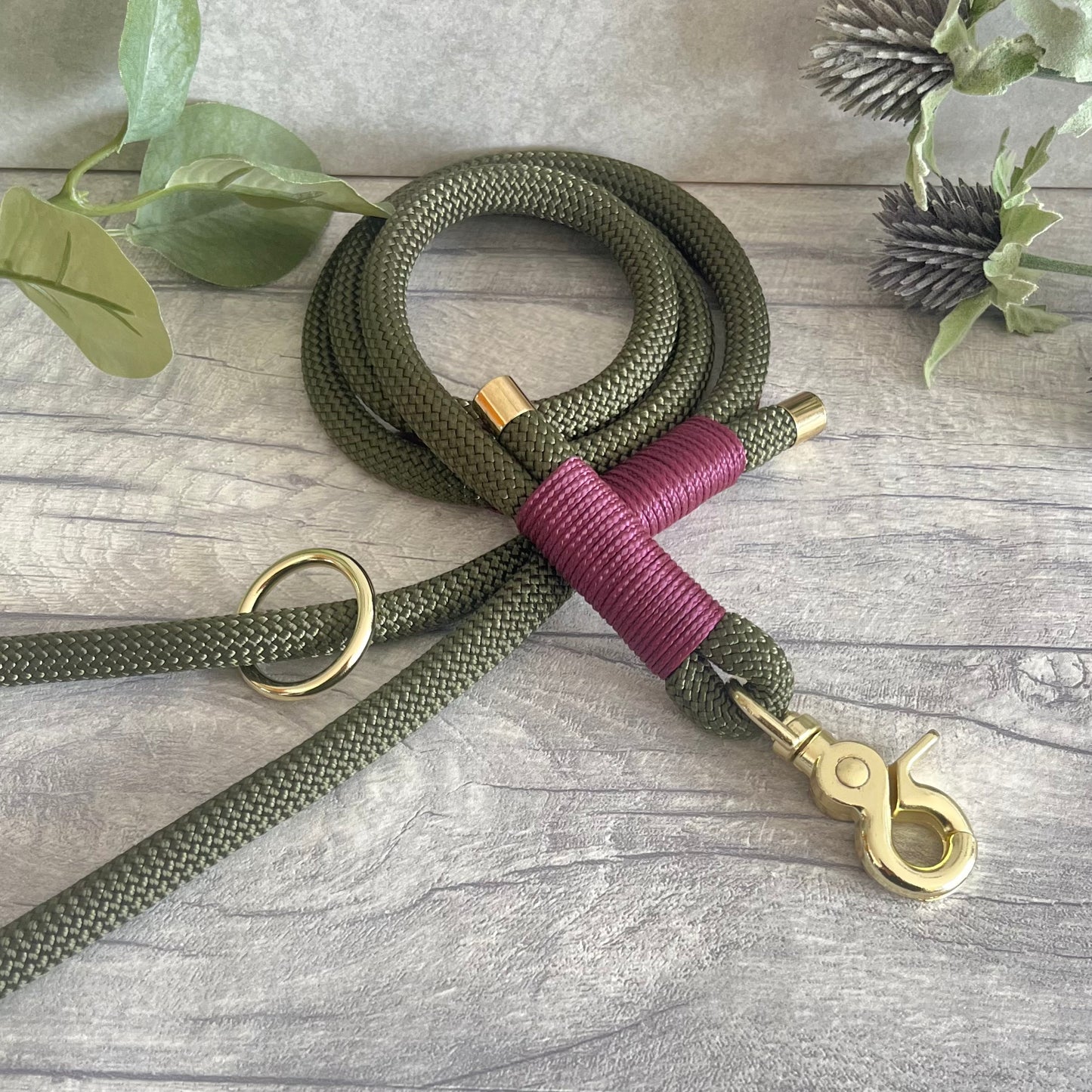 Olive Green Paracord rope lead with Aubergine whipping securing each end together. At each end of the rope there is a metal end cap, a clip to connect to a collar at one end and a O-ring fixed to the handle. All hardware is Gold