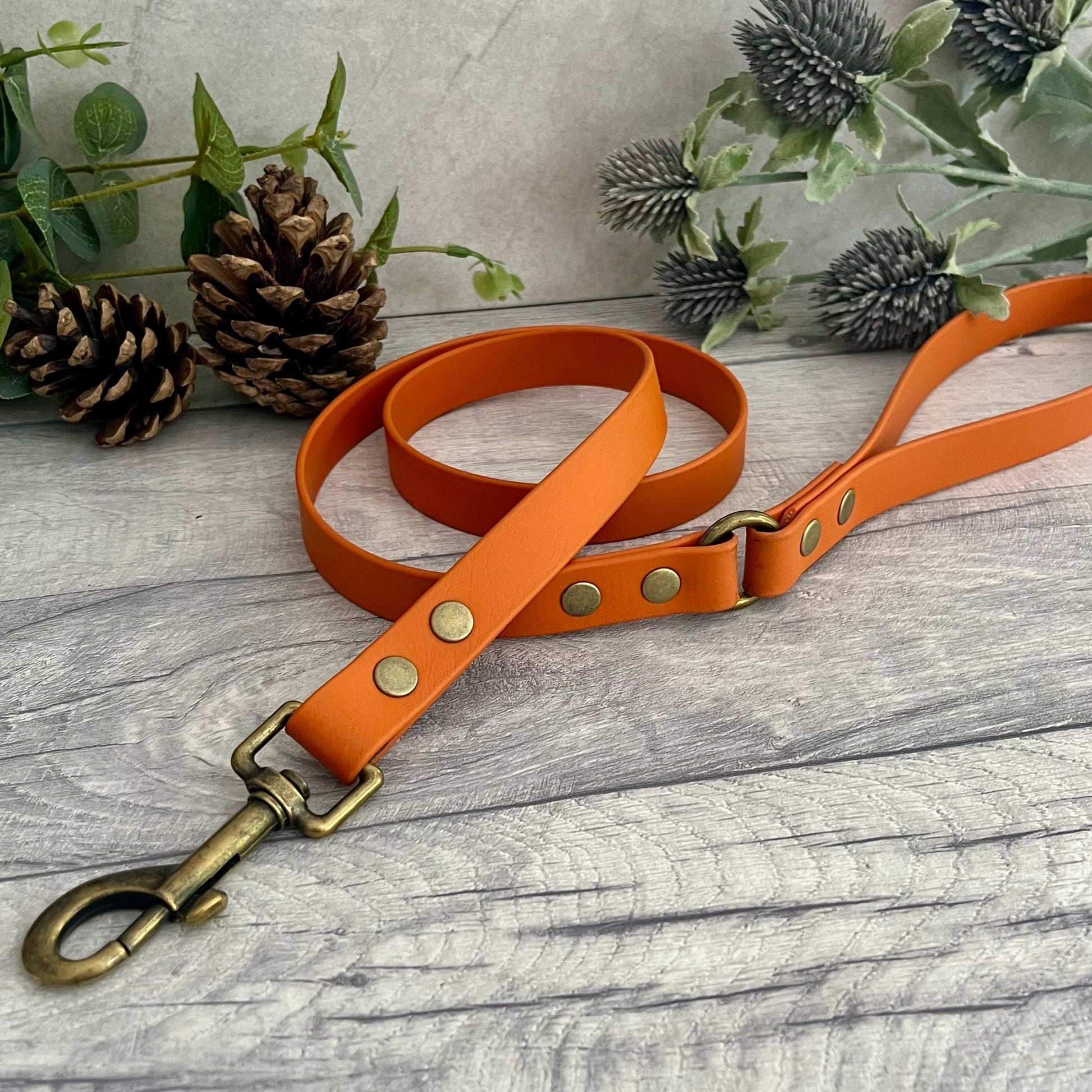 Burnt Orange Biothane lead with Antique Brass hardware. An O-ring connects the handle to the lead with double ended rivets fixing it together. A Snap Clip is fixed with double ended rivets. The lead has a soft leather appearance.