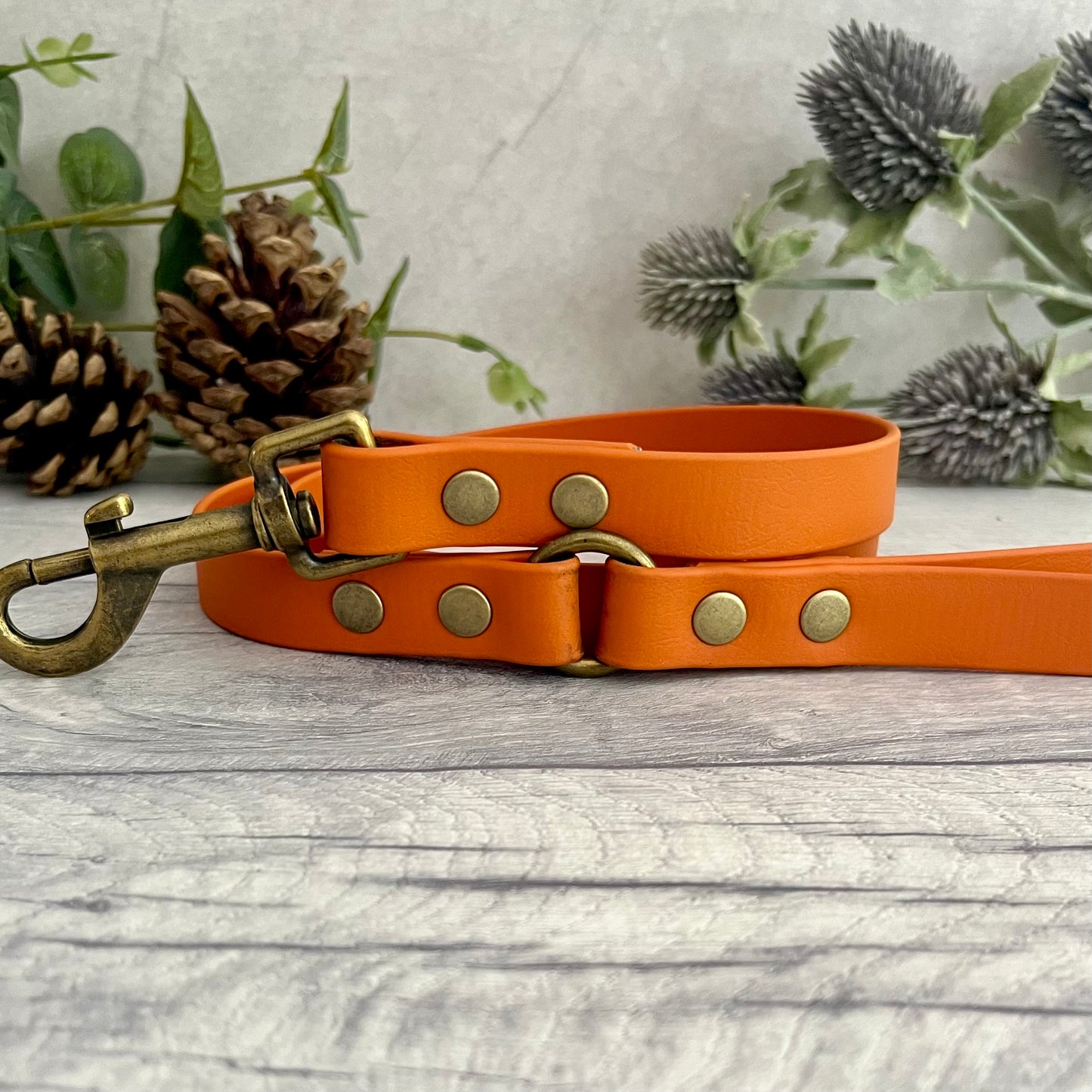 Burnt Orange Biothane lead with Antique Brass hardware. An O-ring connects the handle to the lead with double ended rivets fixing it together. A Snap Clip is fixed with double ended rivets. The lead has a soft leather appearance.