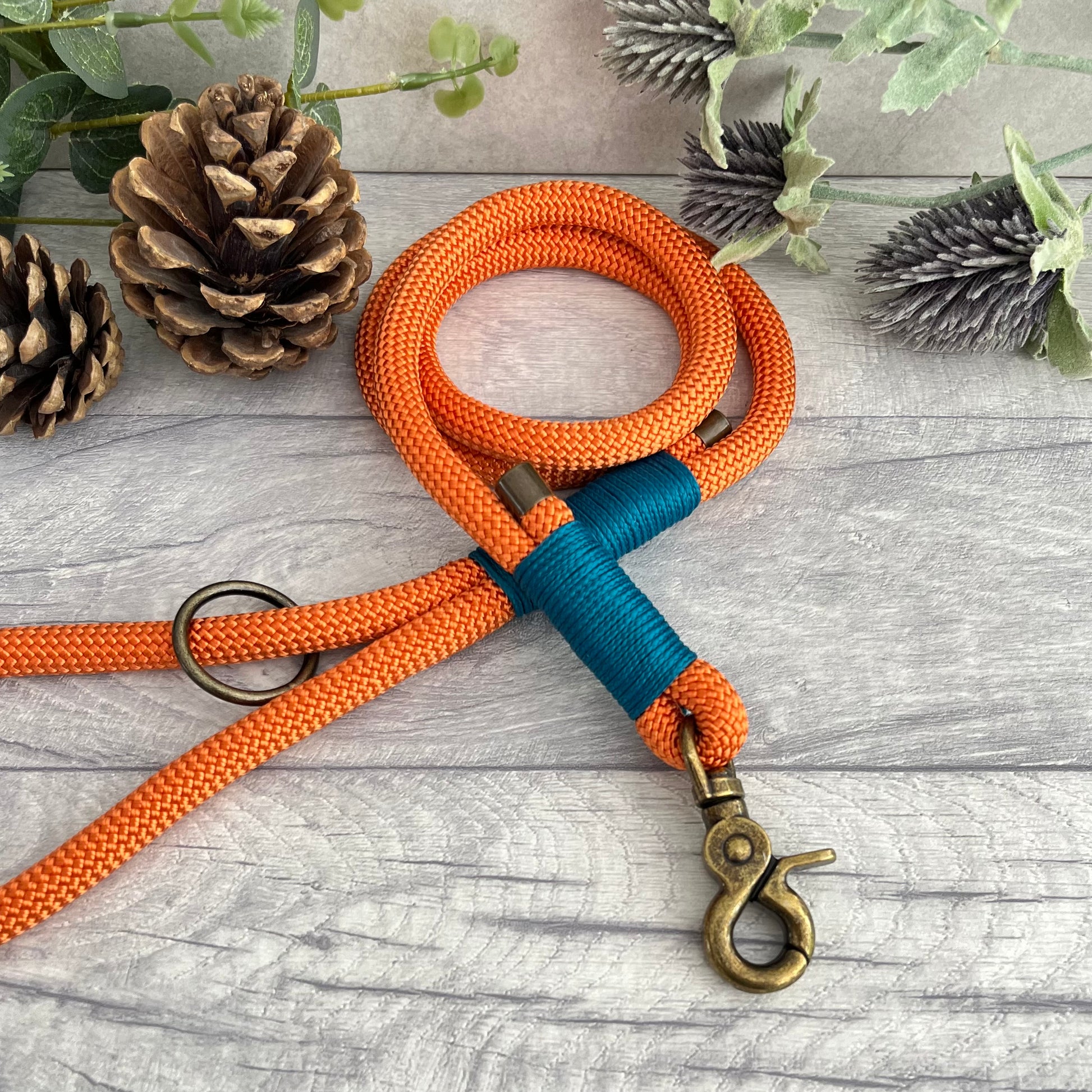 Orange rope lead with Aqua whipping securing a swivel clip at one end and fastening a handle at the other. The handle has an O-ring attached. Each end of the rope is finished with a metal end cap. All hardware for this lead is in Antique Brass