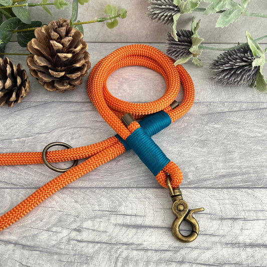 Orange rope lead with Aqua whipping securing a swivel clip at one end and fastening a handle at the other. The handle has an O-ring attached. Each end of the rope is finished with a metal end cap. All hardware for this lead is in Antique Brass