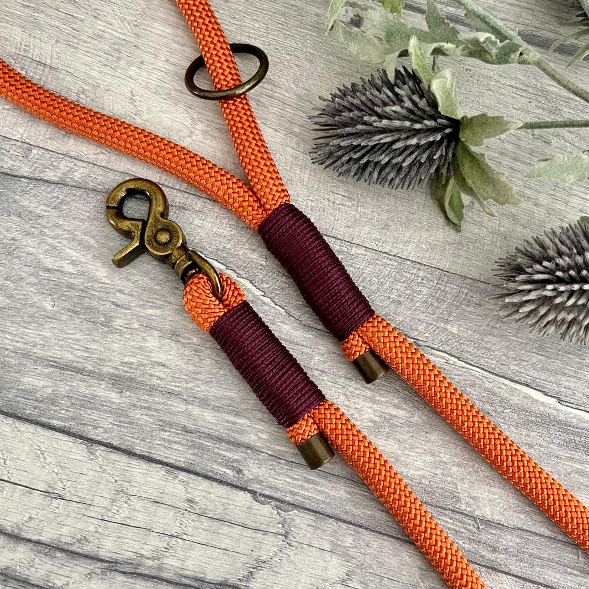 Orange rope lead with Aubergine whipping securing a swivel clip at one end and fastening a handle at the other. The handle has an O-ring attached. Each end of the rope is finished with a metal end cap. All hardware for this lead is in Antique Brass
