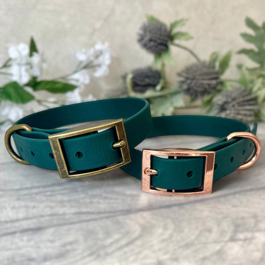 Two Dark Green Biothane dog collars, one with Antique Brass and the other with Black hardware. The collar is fastened with a buckle and has a d-ring. There are 5 punched holes spaced 2cm