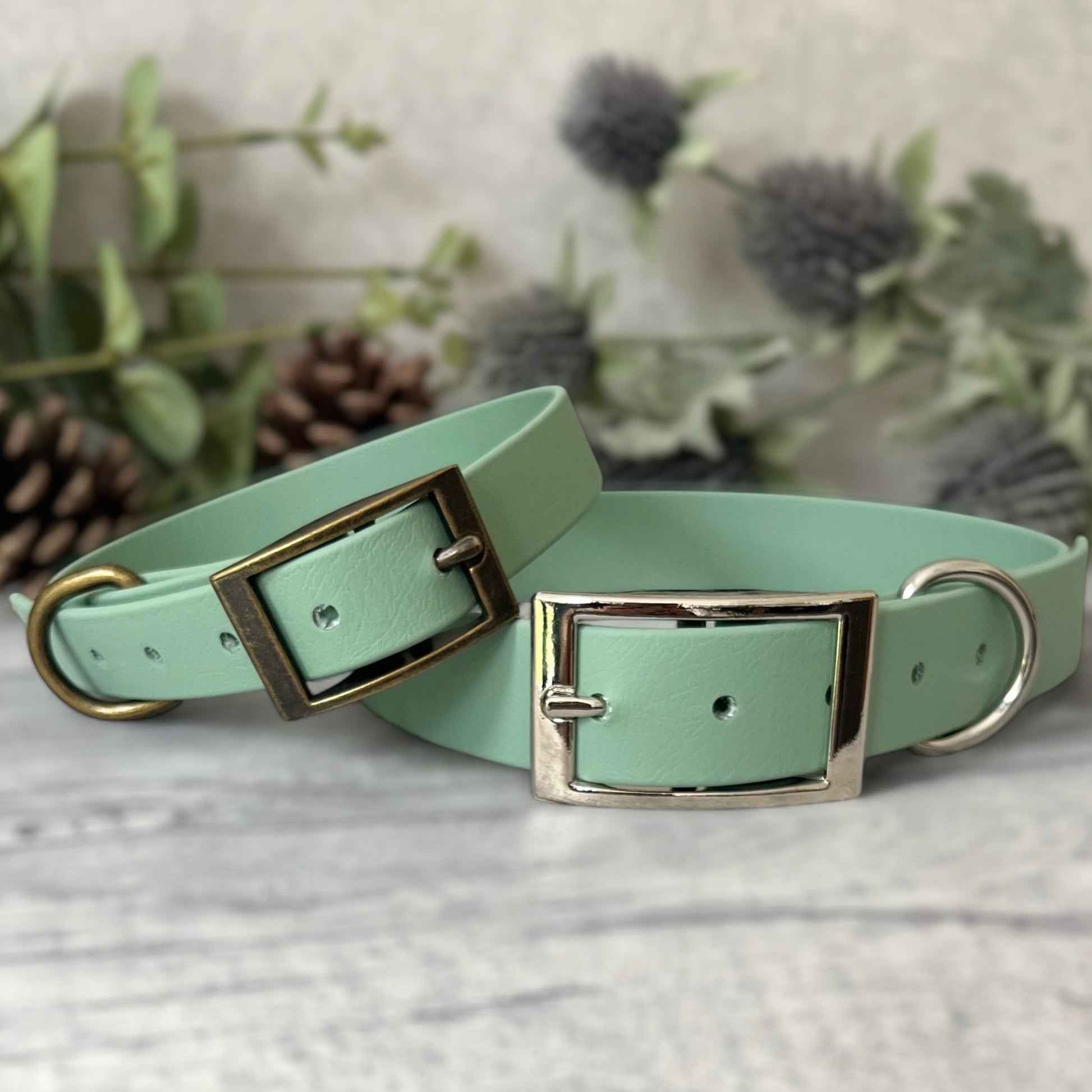 Two Sage Green Biothane dog collars, one with Silver and the other with Antique Brass hardware. The collar is fastened with a buckle and has a d-ring. There are 5 punched holes spaced 2cm apart.