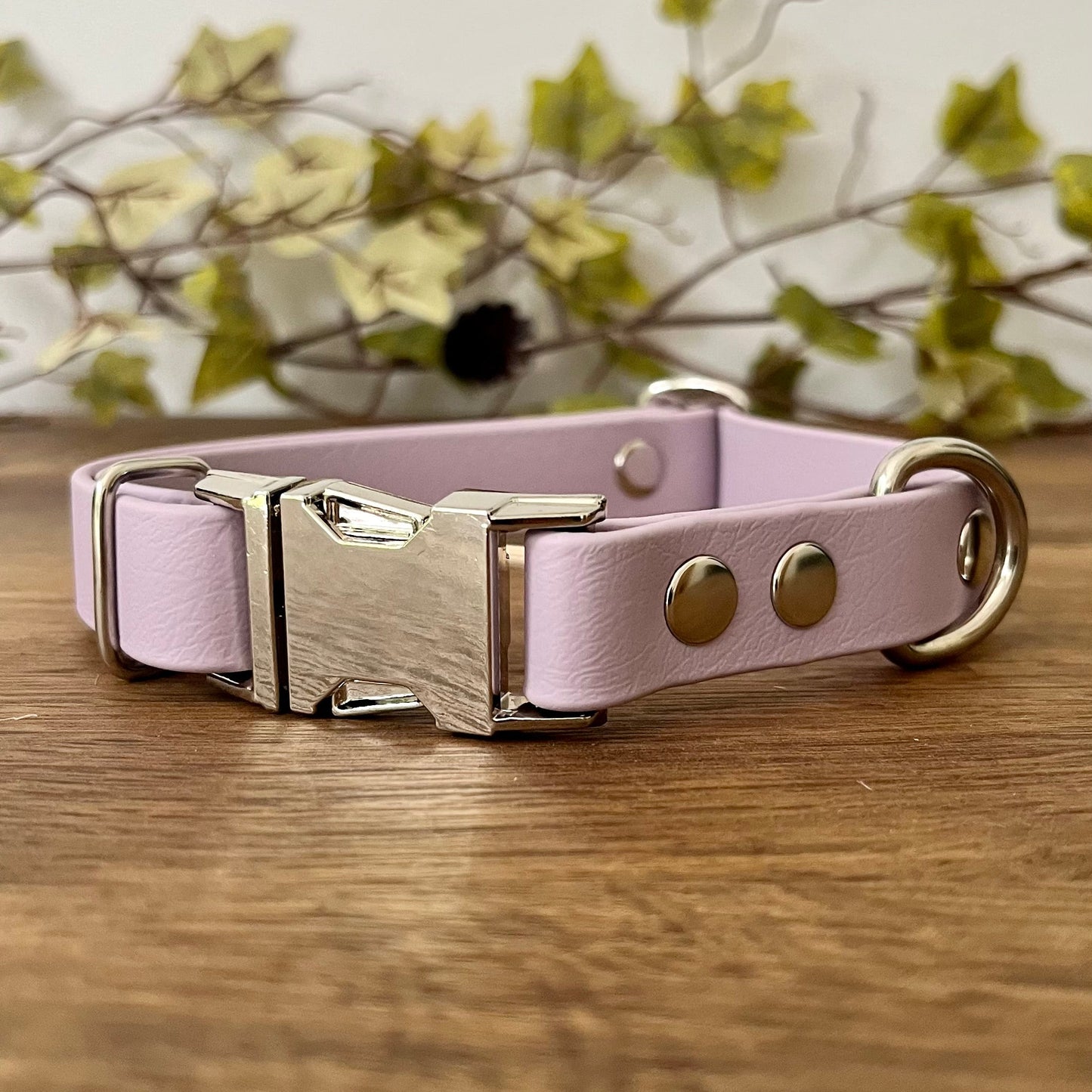 Made from Biothane in Lavender, the collar is fastened with a metal quick release buckle, metal rivets with a metal strap keeper on one side with a D-ring on the other. All hardware is in Silver