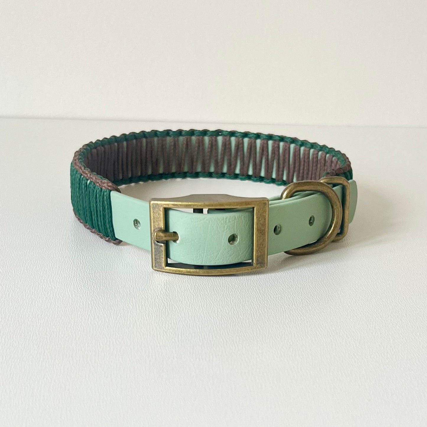 Green and brown dog collar with a brass buckle on a white background