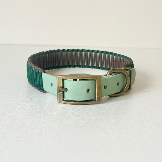 Green and brown dog collar with a brass buckle on a white background