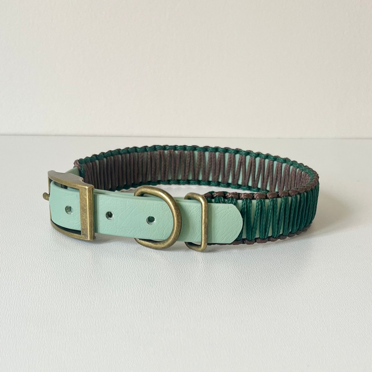 Green and brown dog collar with a brass buckle on a white background