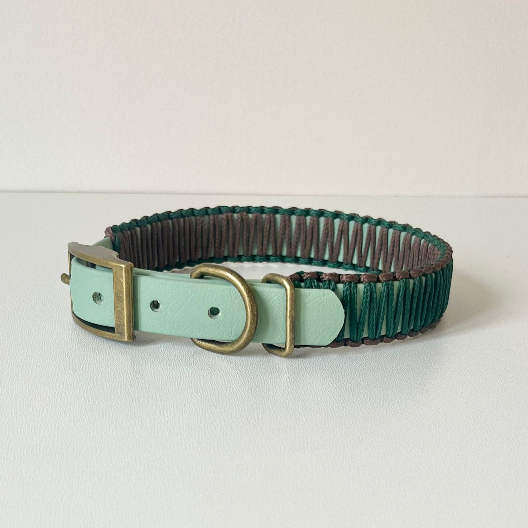 Green and brown dog collar with a brass buckle on a white background