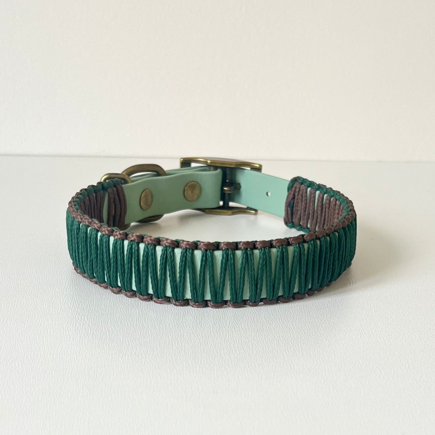 Green and brown dog collar with a brass buckle on a white background