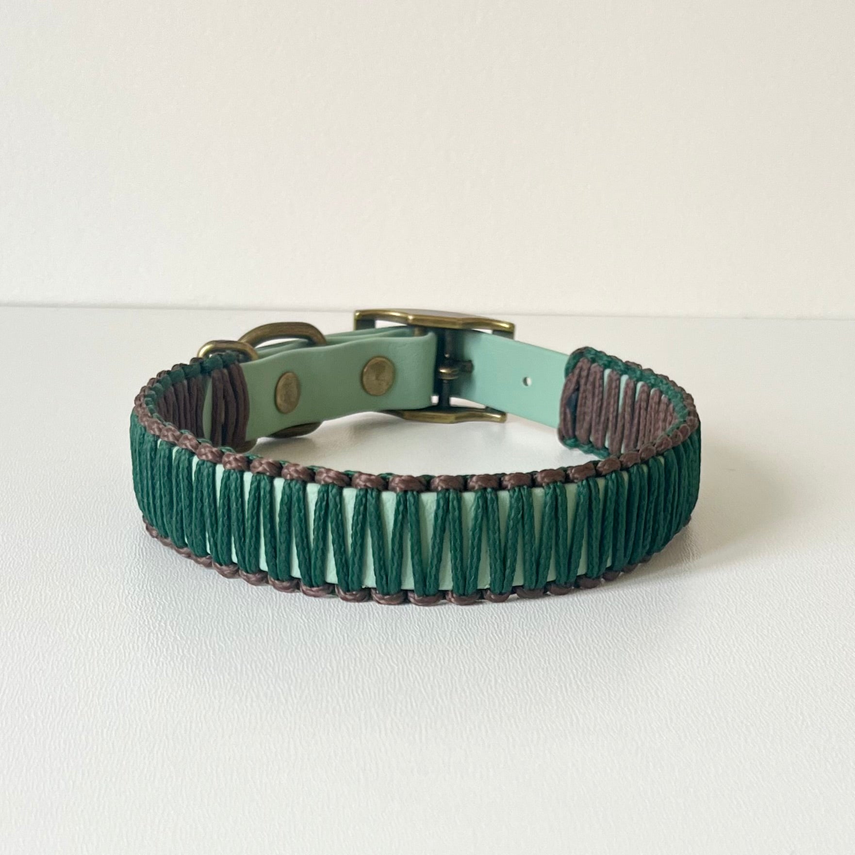 Green and brown dog collar with a brass buckle on a white background