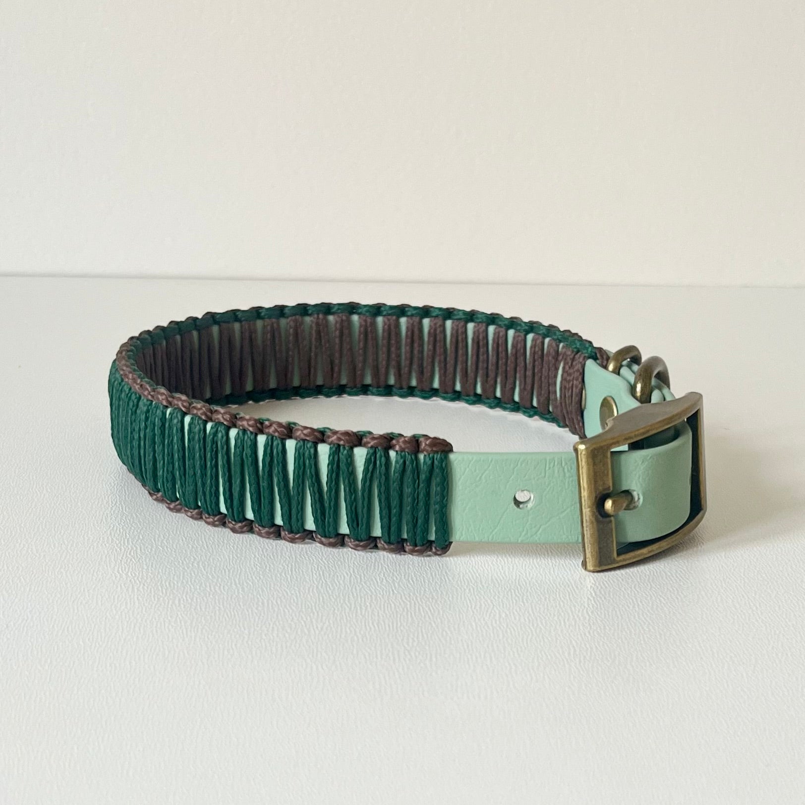Green and brown dog collar with a brass buckle on a white background