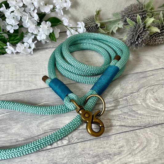 Sea Green rope lead with Aqua coloured whipping securing a swivel clip at one end and fastening a handle at the other. The handle has an O-ring attached. Each end of the rope is finished with a metal end cap. All hardware for this lead is in Antique Brass