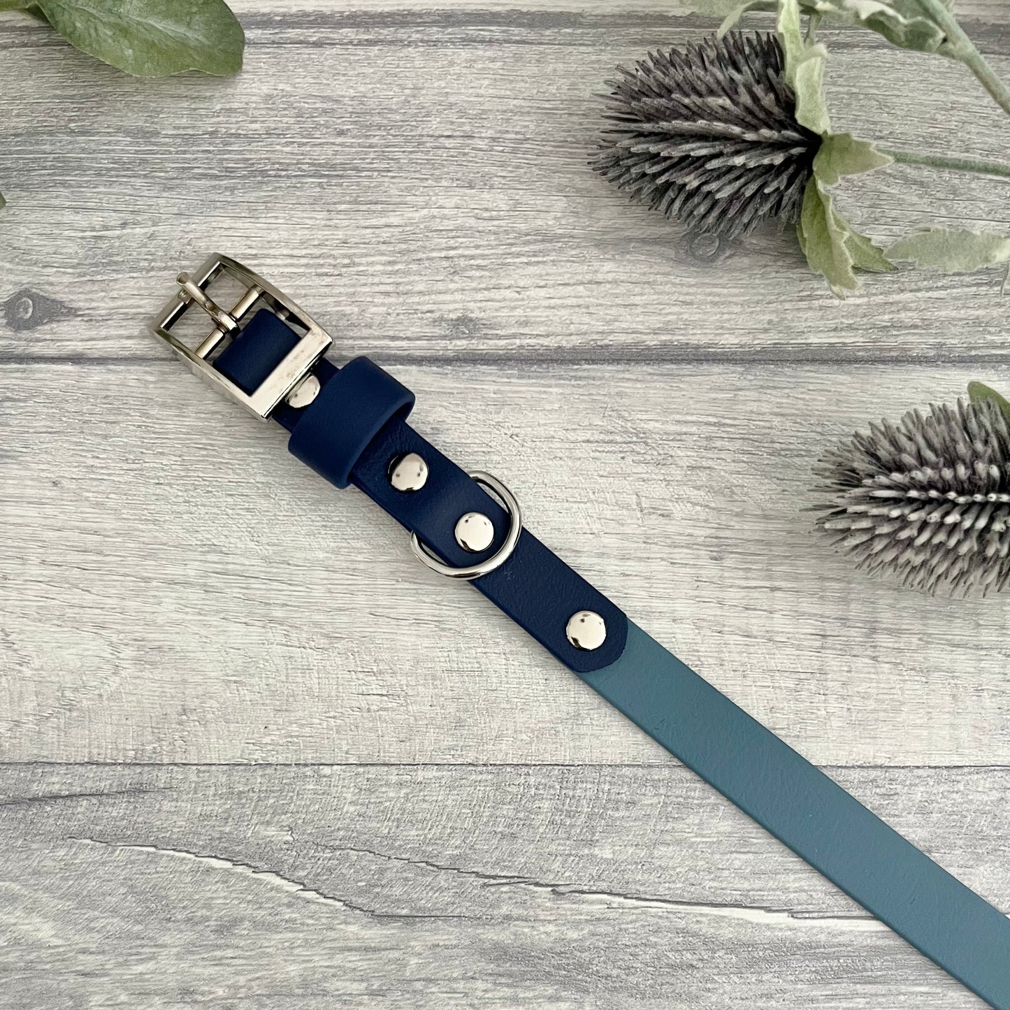 Two tone dog collar in Petrol Blue & Navy. The collar strap is two colours fixed together with a rivet. The collar has a Biothane strap keeper and a metal D-ring with 5 x punched holes. All hardware is Silver