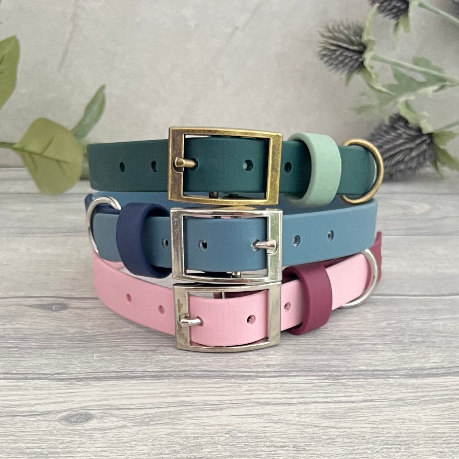 Three dog collars in blue, pink, and green with brass buckles on a wooden surface.