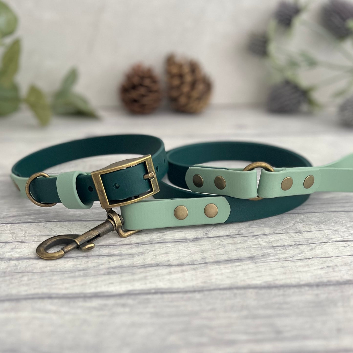 A matching two tone dog collar and lead in Sage and Dark Green. The main straps of both are in Dark Green, with the accent colour in Sage Green. The hardware for both is Antique brass.