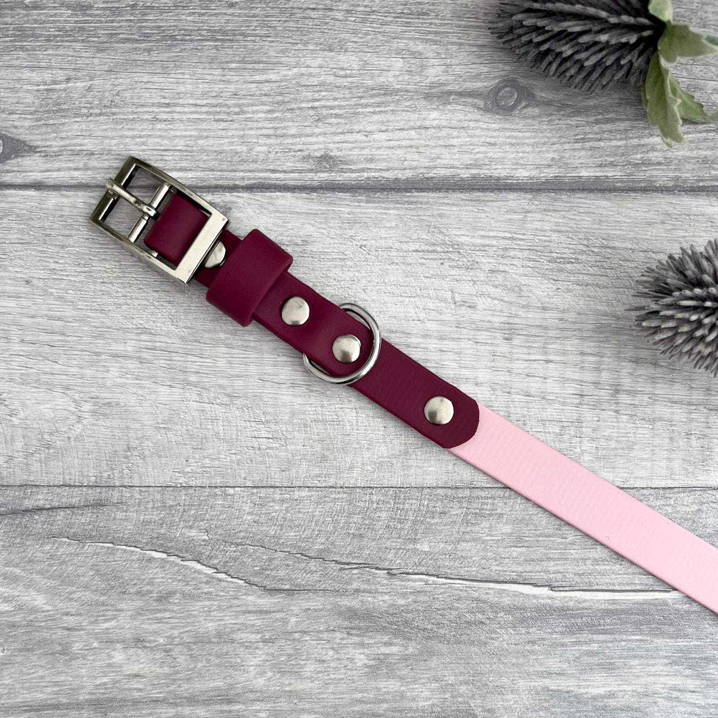 Two tone dog collar in Light Pink & Wine Red . The collar strap is two colours fixed together with a rivet. The collar has a Biothane strap keeper and a metal D-ring with 5 x punched holes. All hardware is Silver