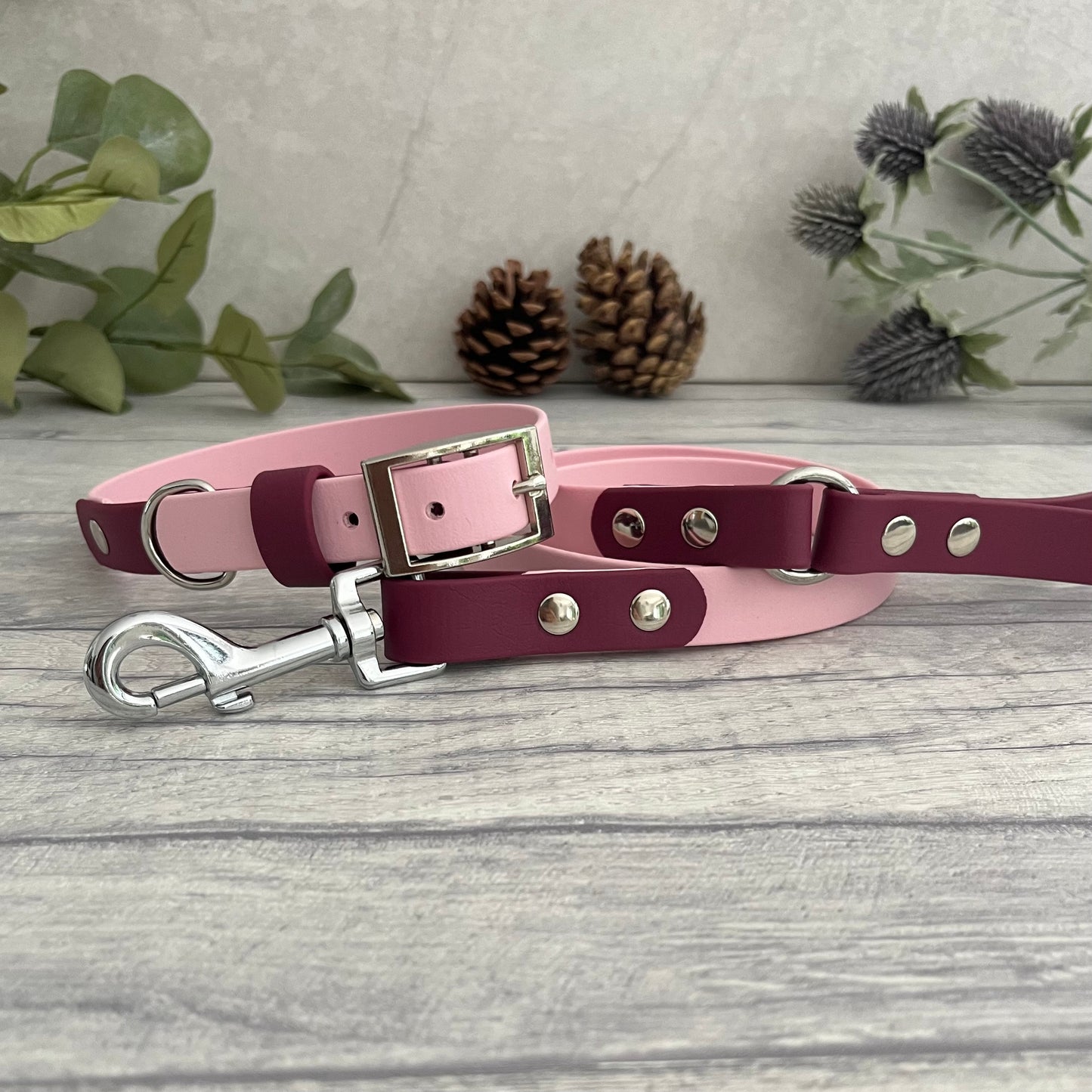 A matching two tone dog collar and lead in Light Pink & Wine Red. The main straps of both are in Dark Green, with the accent colour in Sage Green. The hardware for both is Silver.