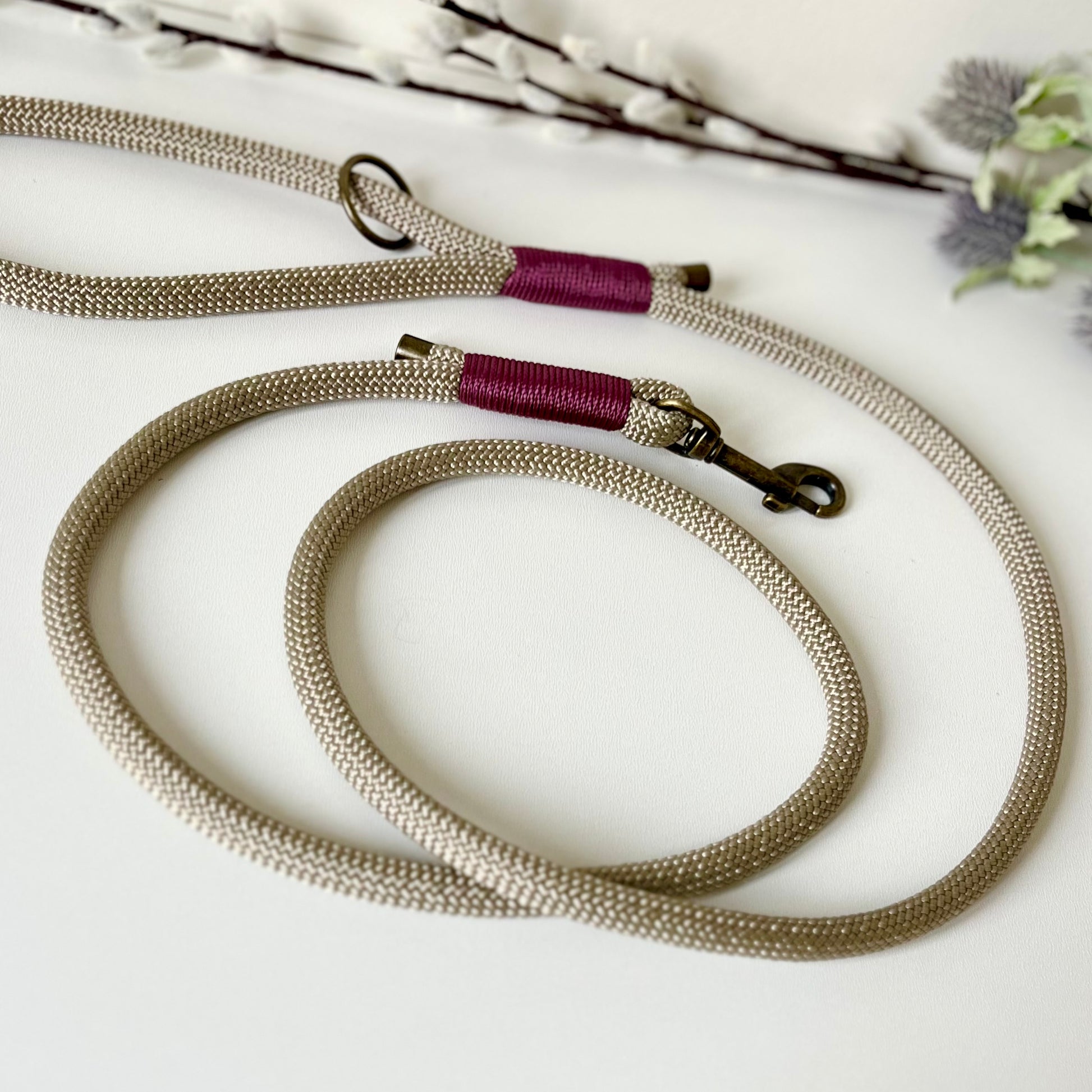 Tan rope dog lead with binding and antique brass hardware on a white surface
