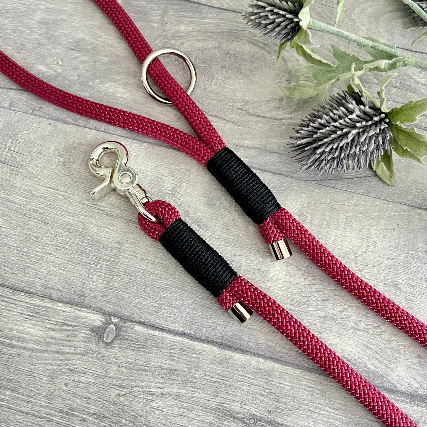 Viva La Vino Red Paracord Rope Dog Lead