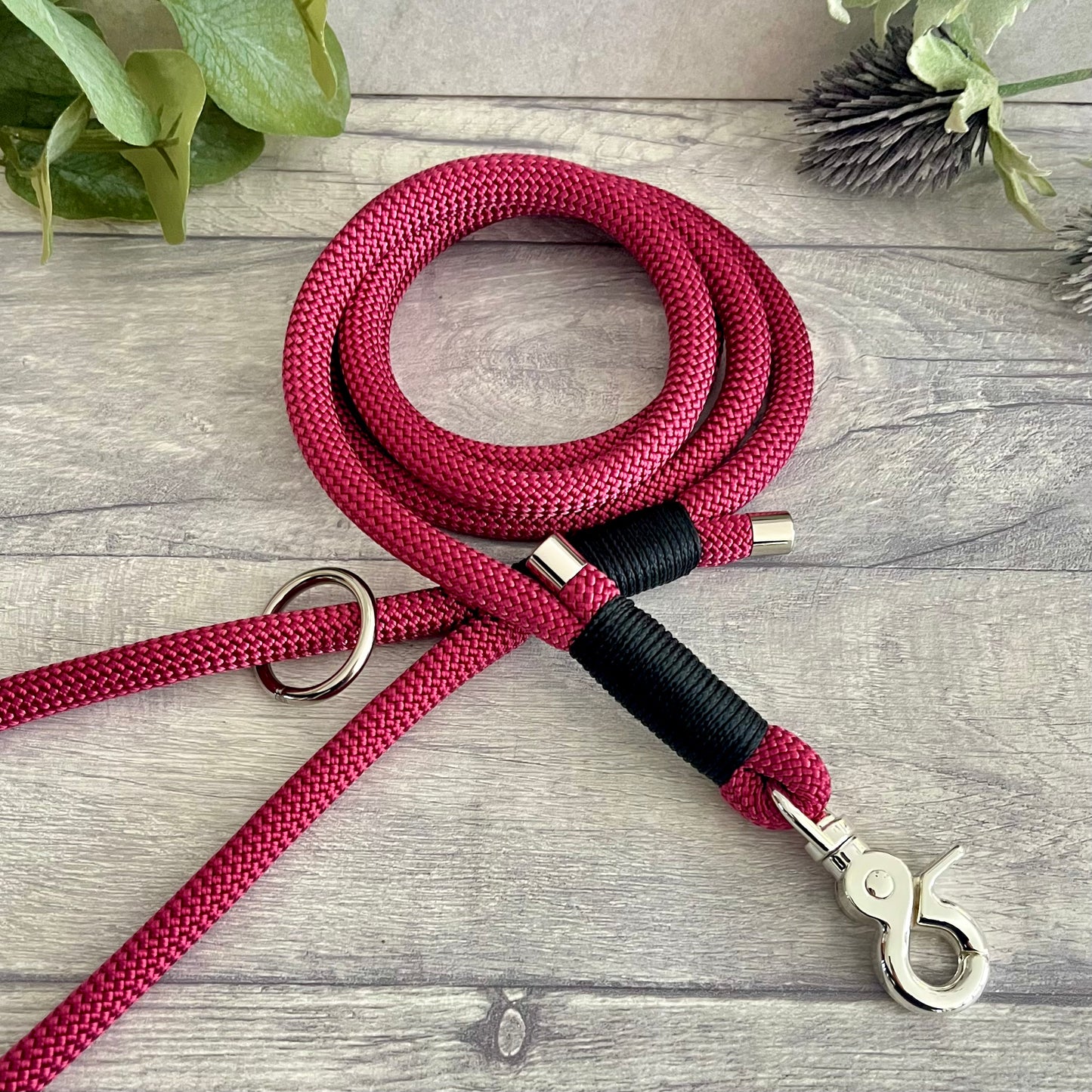 Viva La Vino Red Paracord Rope Dog Lead