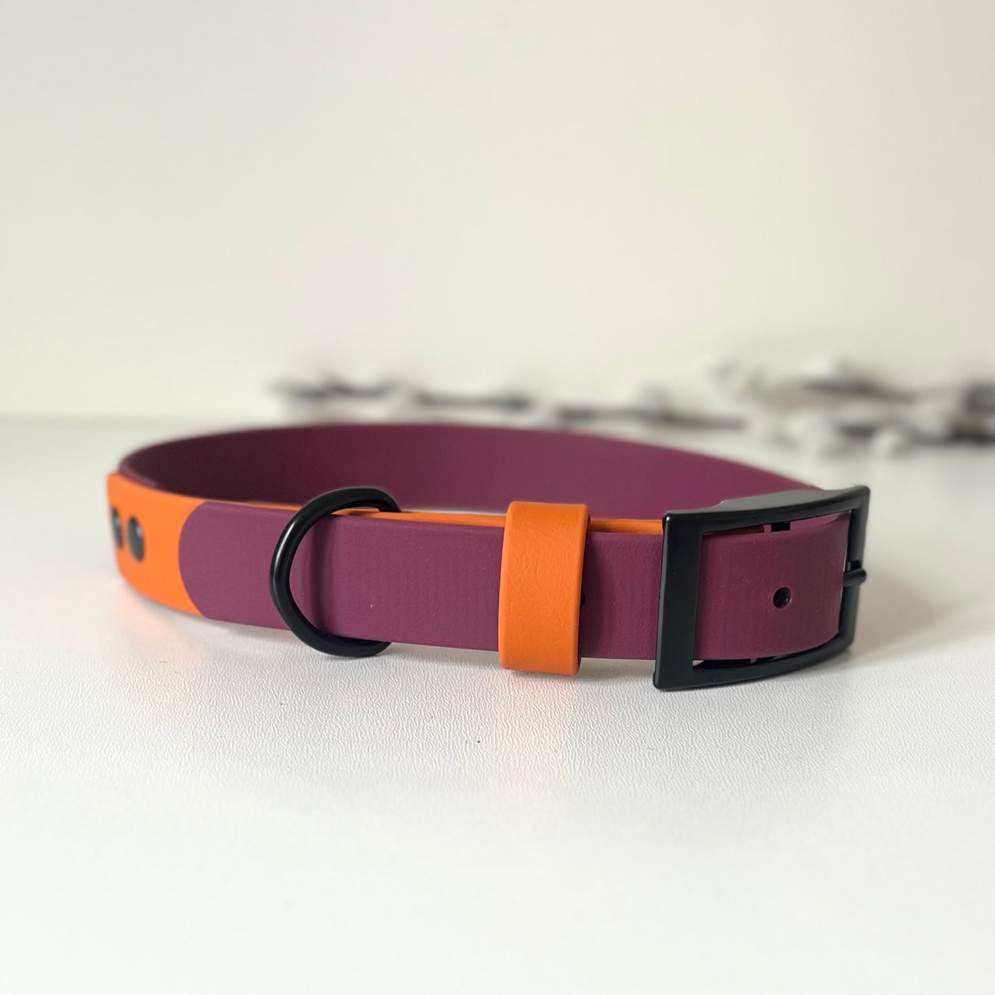 Wine Red and Orange two tone biothane dog collar with black hardware