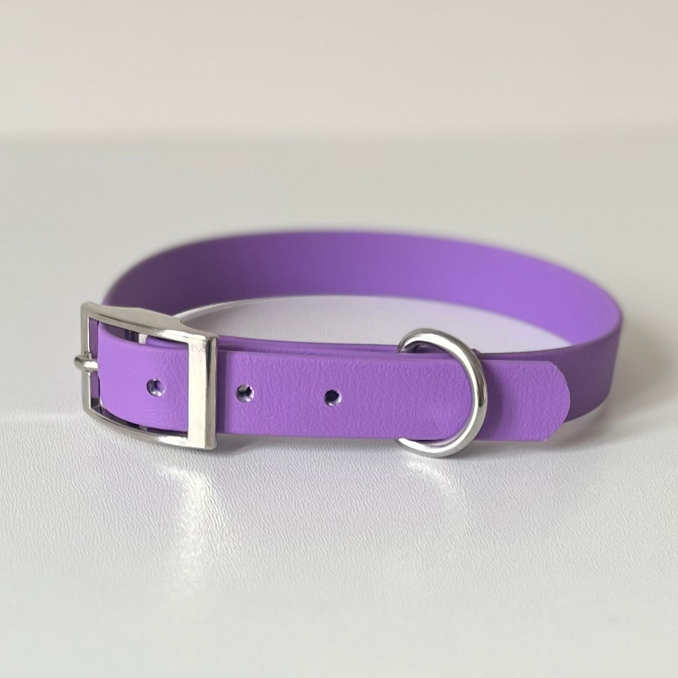 Amethyst purple Biothane dog collar with silver hardware