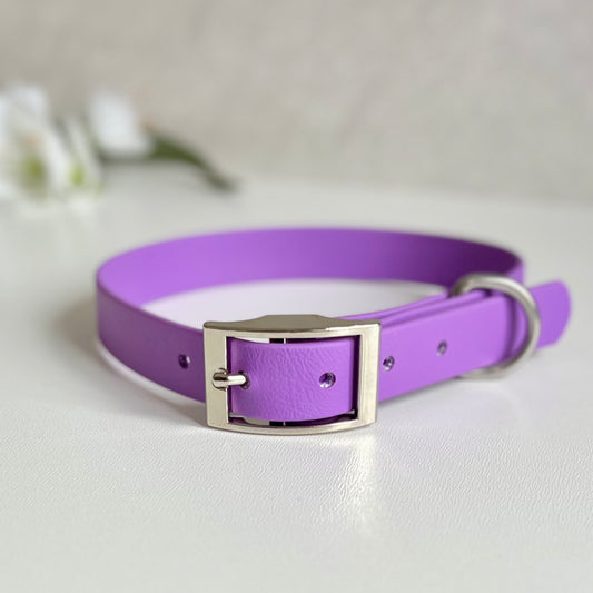 Amethyst Purple dog collar with a silver buckle on a light gray background