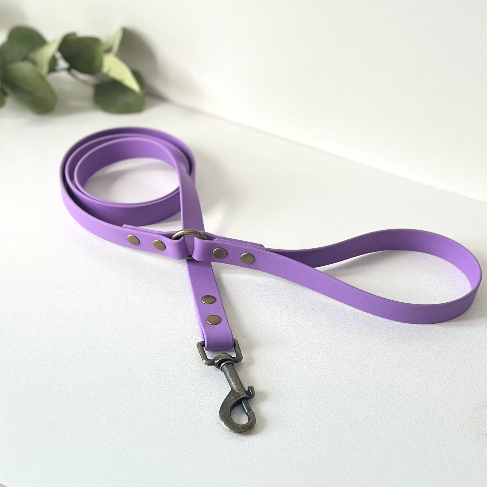 Purple biothane dog lead with antique brass hardware